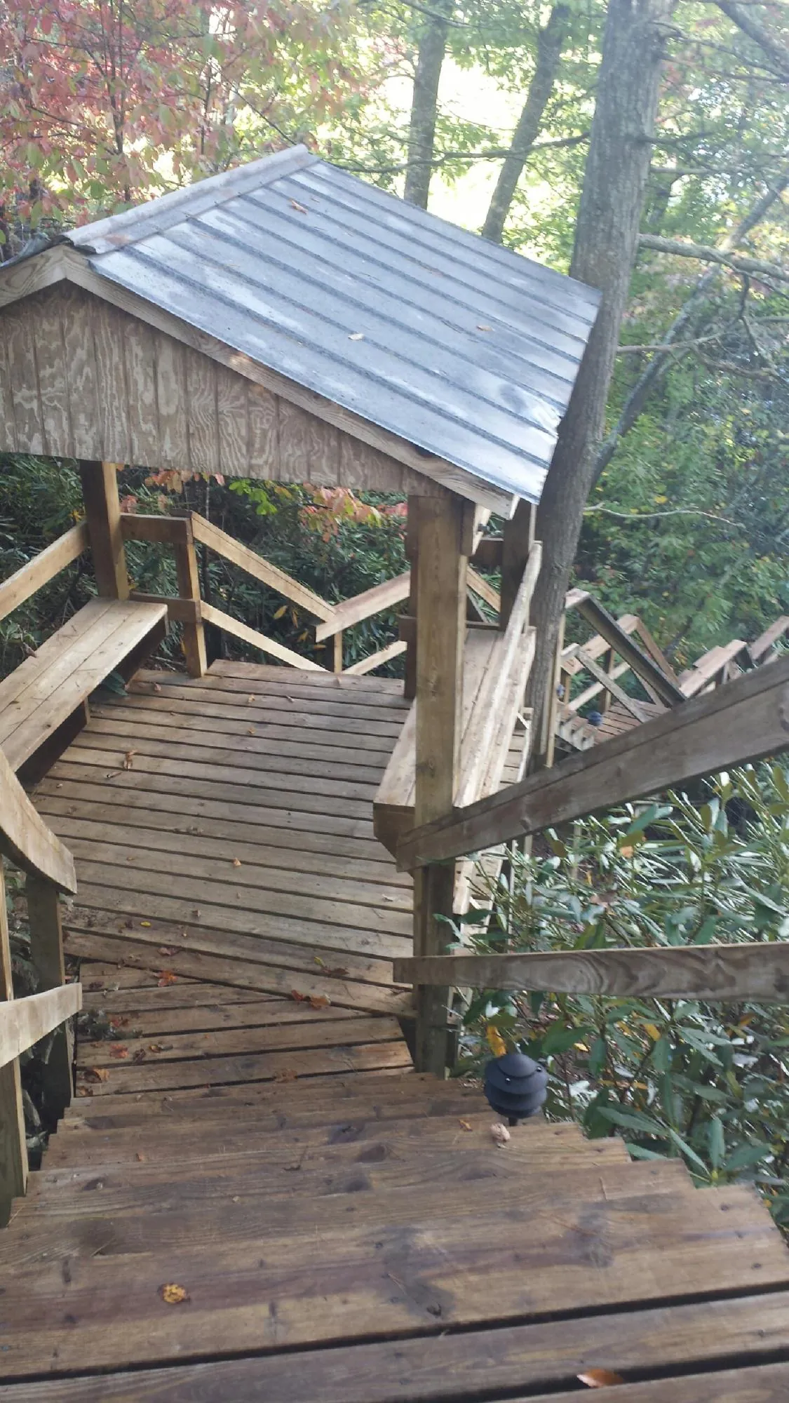 Metal roofed shelter over wooden steps on a wooded walkway — Skylight Repair & Installation work by our crew in Jonesboro